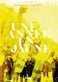 Une année en jaune