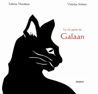 La vie agitée de Galaan