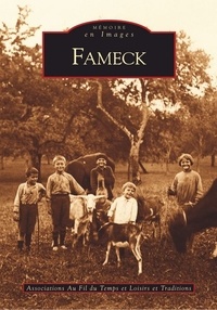 Fabrice Parpagiola - Fameck et ses hameaux.