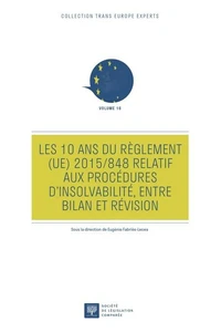 Les 10 ans du Règlement (UE) 2015/848 relatif aux procédures d'insolvabilité, entre bilan et révision