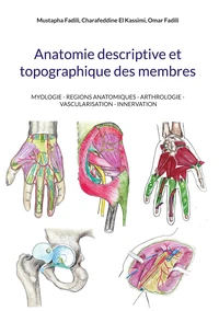 Anatomie descriptive et topographique
