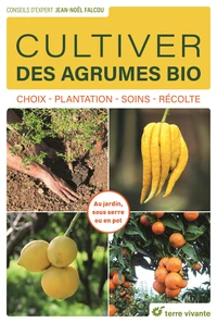 Cultiver des agrumes bio