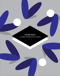 La mécanique des ailes