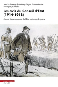 Les avis du Conseil d'Etat (1914-1918)