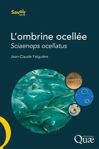 L'ombrine ocellée, Sciaenops ocellatus
