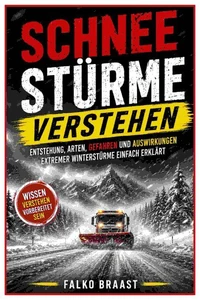 Schneestürme verstehen