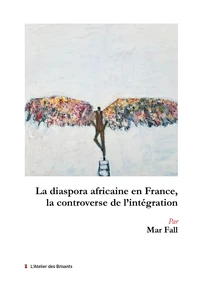 La diaspora africaine en France, la controverse de l'intégration