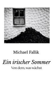 Ein irischer Sommer