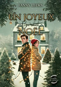 Un joyeux (bordel) Noël