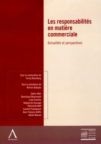 Les responsabilités en matière commerciale