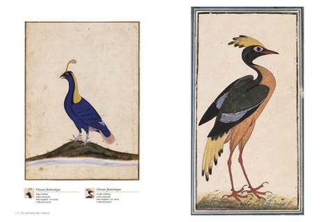 Le cantique des oiseaux. Illustré par la peinture en Islam d'orient