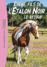 Ebène, fils de l'Etalon Noir