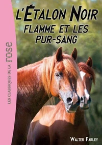 L'Étalon Noir 11 - Flamme et les pur-sang