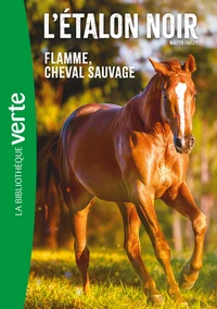 Flamme, cheval sauvage