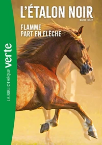 Flamme part en flèche