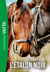 Flamme et l'Etalon Noir
