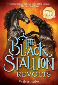 The Black Stallion