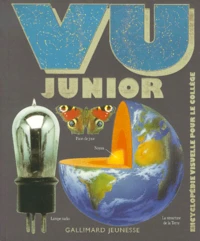 Vu Junior