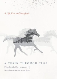 A Train through Time