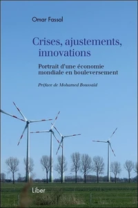 Crises, ajustements, innovations