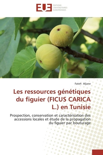Fateh Aljane - Les ressources génétiques du figuier (FICUS CARICA L.) en Tunisie - Prospection, conservation et caractérisation des accessions locales et étude de la propagation du fi.