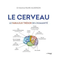 Le cerveau