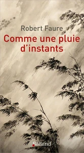 Comme une pluie d'instants... une traversée du temps