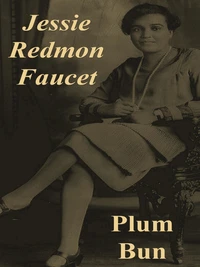 Plum Bun: A Novel Without a Moral