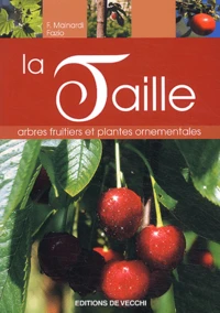 La taille
