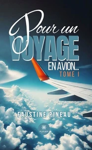 Pour un voyage en avion