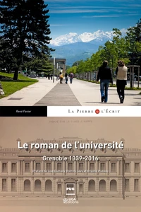 Le roman de l'université
