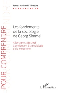 Les fondements de la sociologie de Georg Simmel