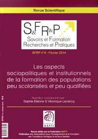 Les aspects sociopolitiques et institutionnels de la formation des populations peu scolarisées et peu qualifiées