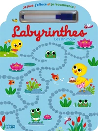 Labyrinthes