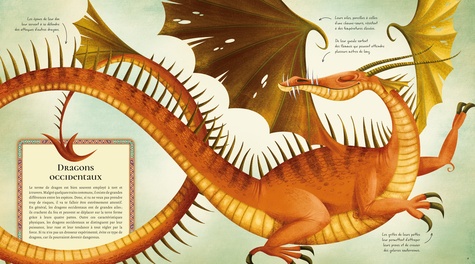 Le grand livre des dragons
