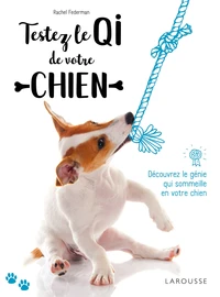 Testez le QI de votre chien