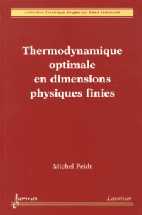 Thermodynamique optimale en dimensions physiques finies
