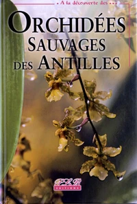 Orchidées sauvages des Antilles