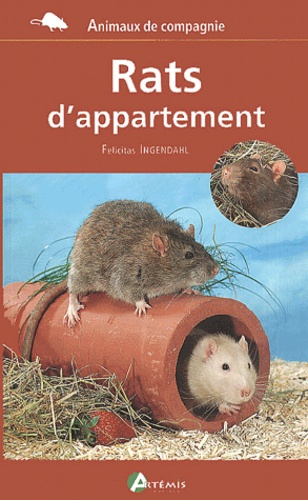 Felicitas Ingendahl - Rats D'Appartement.