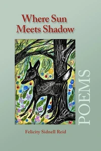 Where Sun Meets Shadow
