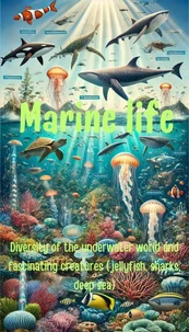 Marine life - Diversity of the underwater world and fascinating creatures (jellyfish, sharks, deep sea)