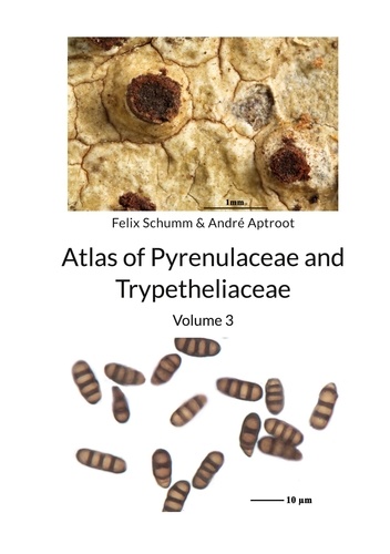 Atlas of Pyrenulaceae and Trypetheliaceae Vol 3. Lichenized Ascomycota