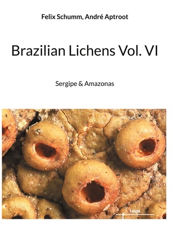 Brazilian Lichens Vol. VI. Sergipe &amp; Amazonas