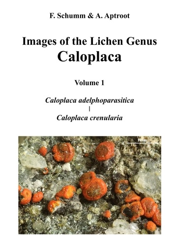 Images of the Lichen Genus Caloplaca, Vol 1. Caloplaca adelphoparasitica, Caloplaca crenularia