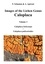 Images of the Lichen Genus Caloplaca, Vol 3. Caloplaca holocarpa, Caloplaca pulicarioides