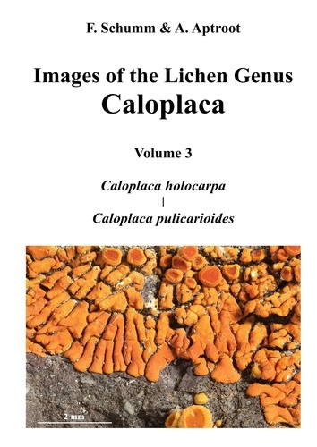Images of the Lichen Genus Caloplaca, Vol 3. Caloplaca holocarpa, Caloplaca pulicarioides