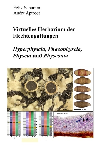 Virtuelles Herbarium der Flechtgattungen. Hyperphyscia, Phaeophyscia, Physcia und Physconia