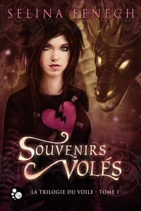 Souvenirs volés