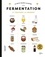 Le petit guide illustré de la fermentation à travers le monde