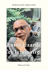 Fernand Briand - Entre lézarde et laminaire.